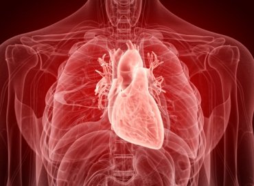 Peripheral Vascular Disease