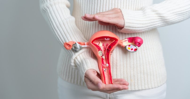 Uterine Artery Embolization